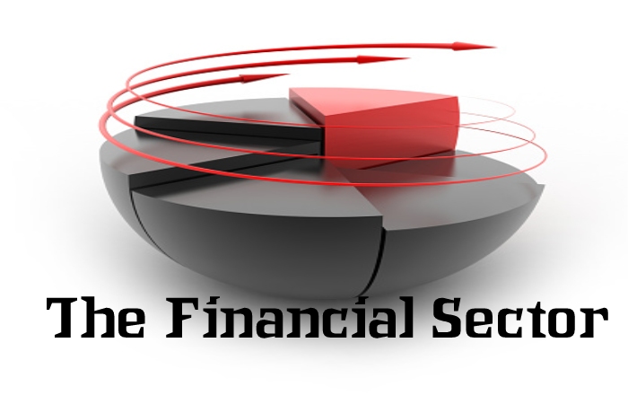 The Financial Sector